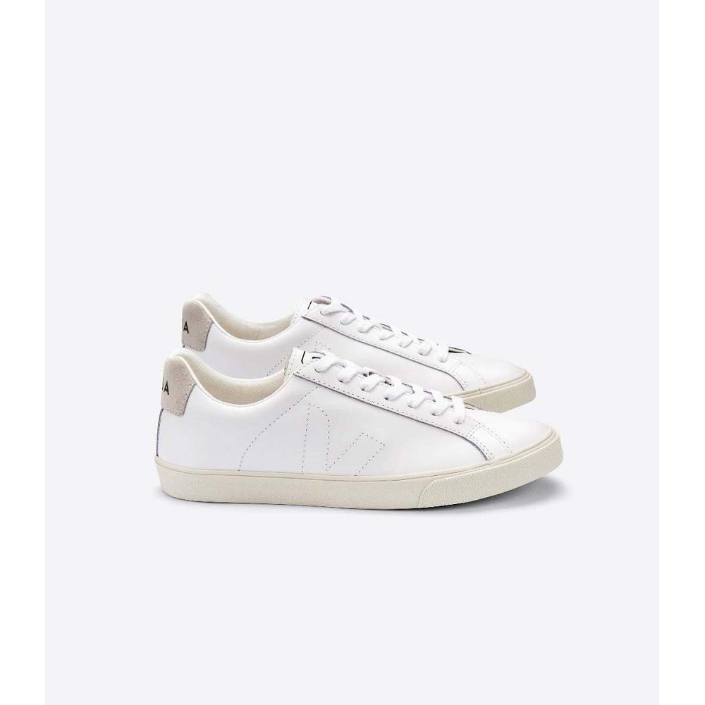 Men\'s Veja ESPLAR LEATHER Sneakers White | ZA 308JPQ